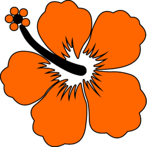 Orange Hibiscus Aloha Alarm Logo